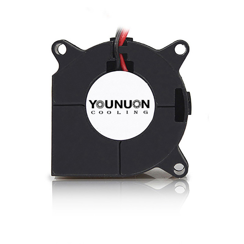 2 Pieces 40mm Blower Fan 4020  - 3D Printer Power Supply 评论和价格