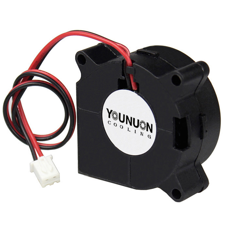 2 Pieces 40mm Blower Fan 4020  - 3D Printer Power Supply 评论和价格
